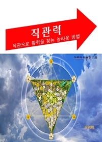 직관력 - 직관으로 활력을 찾는 놀라운 방법 (커버이미지)