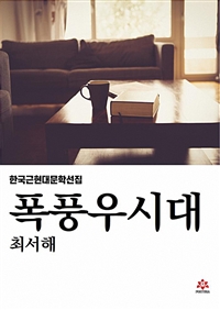 폭풍우시대 (커버이미지)