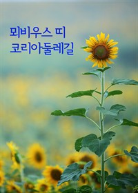 뫼비우스 띠 코리아둘레길 : 우리나라 걷기여행길 (커버이미지)