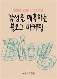 감성을 매혹하는 블로그 마케팅 : 제목따라 달라지는 고객반응 (커버이미지)